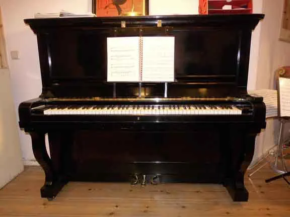Steinway/Klavierstimmer Berlin es-stimmt.de150.webp